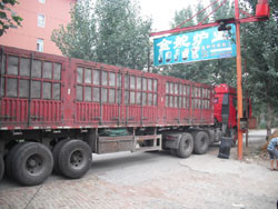 ���¯ҵ�����ֳ�